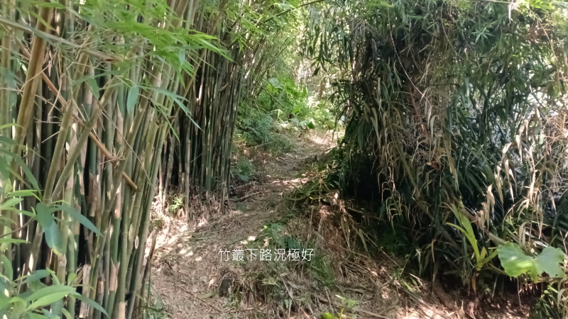 fe5dc947181ee1ebfdb0c2d5cbb10858.png