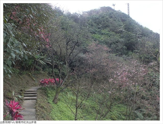 紅淡山步道 (64).JPG - 紅淡山步道