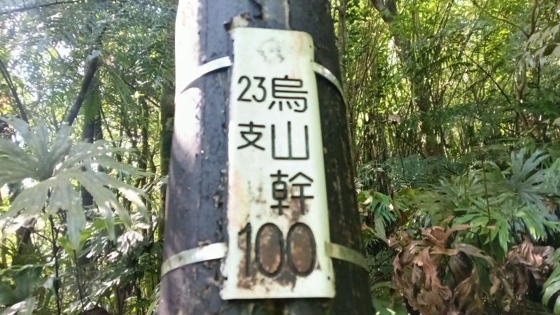 fee51ab13783434d747c12df7ccfcea4.jpg