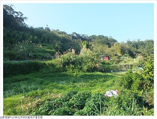 炮子崙古道 (48).JPG - 炮子崙古道