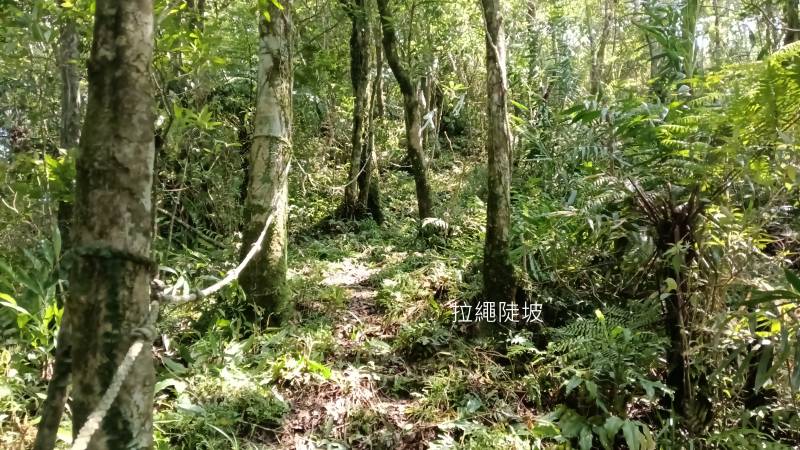 ff680f14818734d4e21f3297fb835a96.png