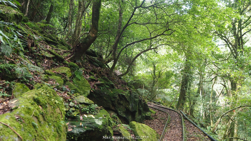 《苗栗》遺世鐵道|悠遊加里山大坪支線至避難山屋