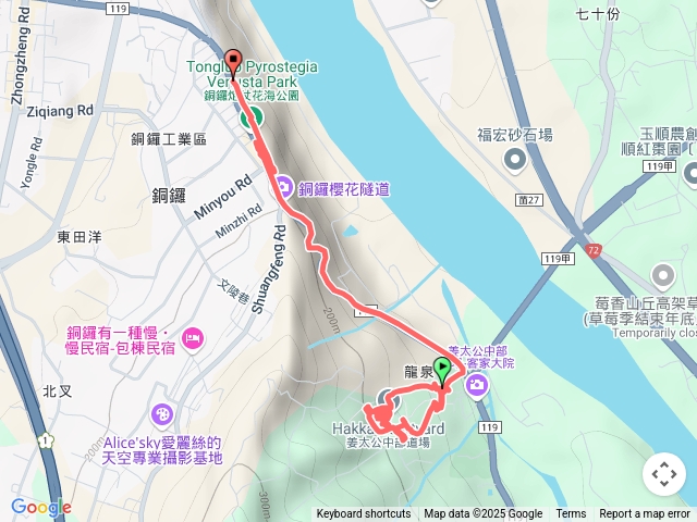 銅鑼炮仗花/道場