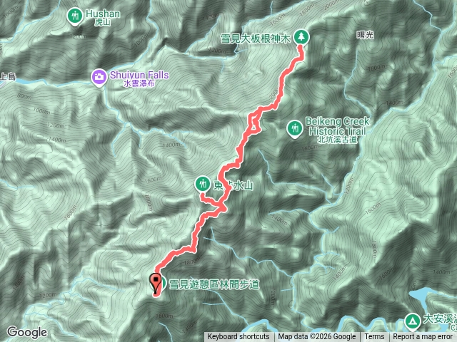 20241123_苗栗泰安 東洗水山 北坑山 大阪根神木預覽圖