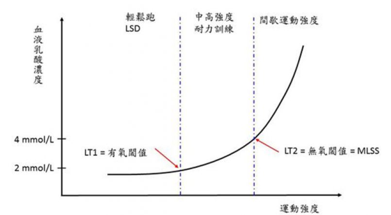 【跑步訓練】乳酸閾值到底是什麼?