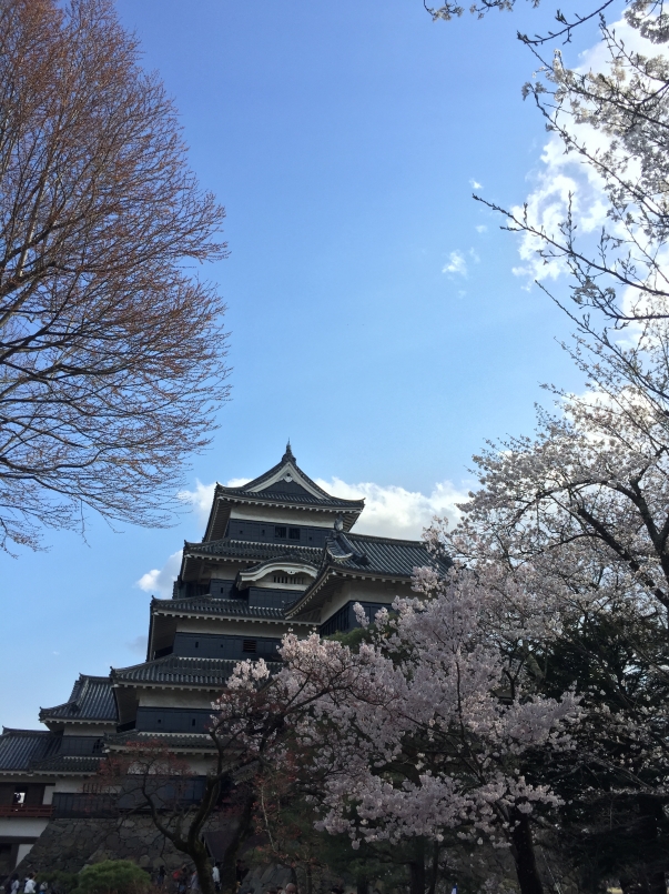 去了一直很想去的松本城。天氣正好配上櫻花盛開，心情都開朗了起來。希望比賽當天也一樣美好。
