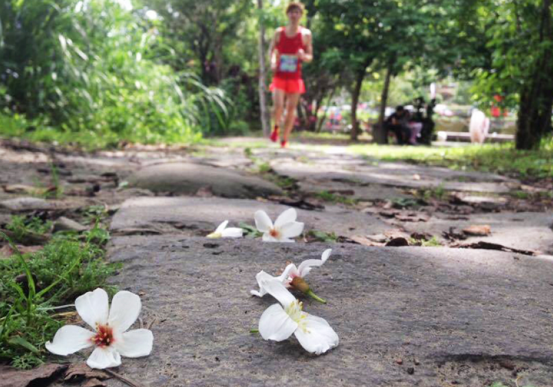 【賽況】獨特客庄鐵道風情 4.7 分的桐花路跑賽