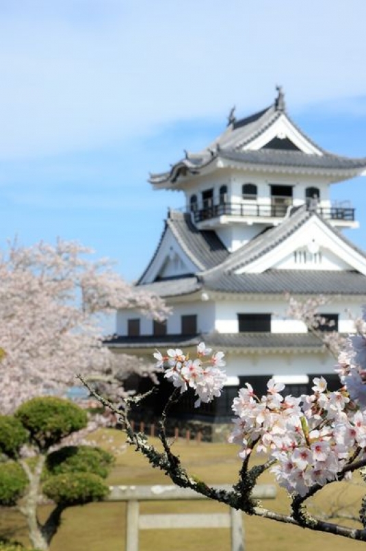 ⑫城山：桜と城.jpg