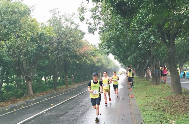【賽事】太康綠色隧道馬拉松 滿眼綠意