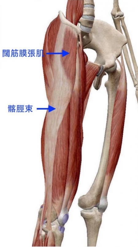 知識 跑後做對伸展與按摩肌肉痠痛不再找上你 文章 運動筆記