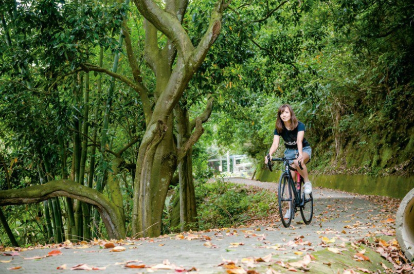 寶山鄉保有許多自然景觀，生態公園環境清幽，適合散步、騎車。圖／新竹縣政府交通旅遊處提供