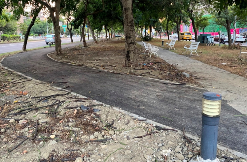 嘉義市議員張秀華憂心，世賢路、北社尾路段的自行車道過於彎曲。圖／張秀華提供
