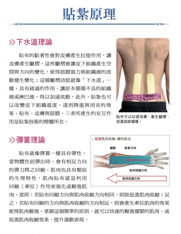 【書摘】貼紮原理與使用方法