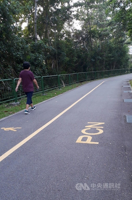 新加坡宣布禁止在人行道騎乘電動踏板車，電動踏板車如今遭限縮只能在腳踏車專用道、公園裡單車與行人共用步道的「公園連道」（PCN）騎乘。中央社記者黃自強新加坡攝 108年11月17日