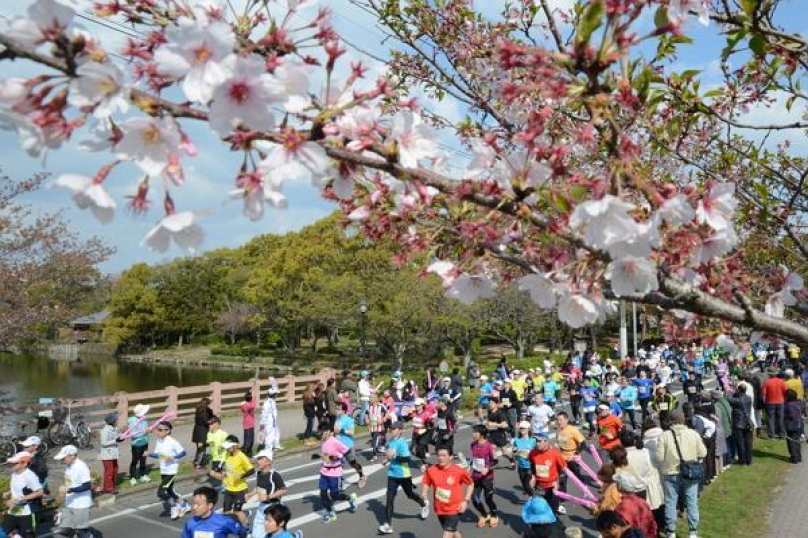 櫻花飛舞浪漫馬拉松2016佐賀櫻花馬拉松 文章 運動筆記