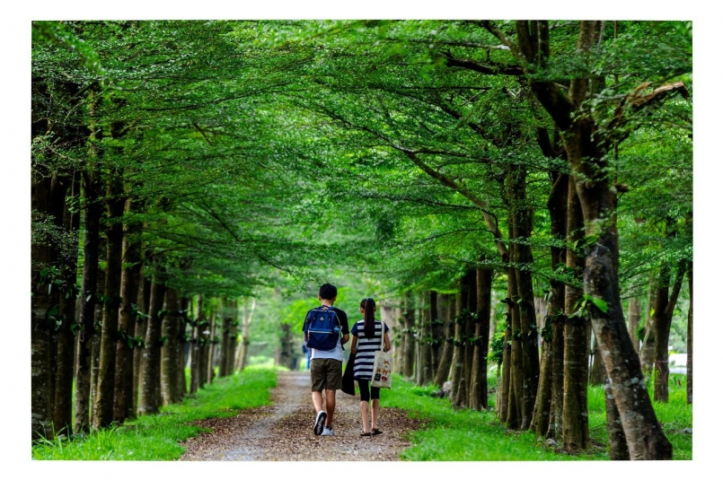 民眾到潮州近郊的林後四林平地森林園區，可悠閒地漫步在樹種多元的平地森林。 圖／南...