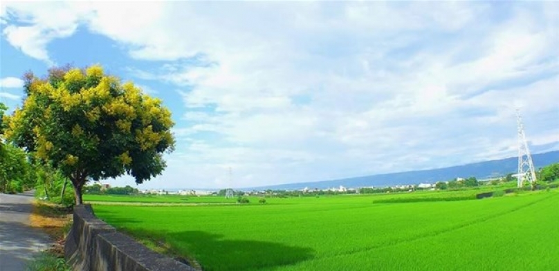全鎮居民為你加油 稻米天堂接力賽