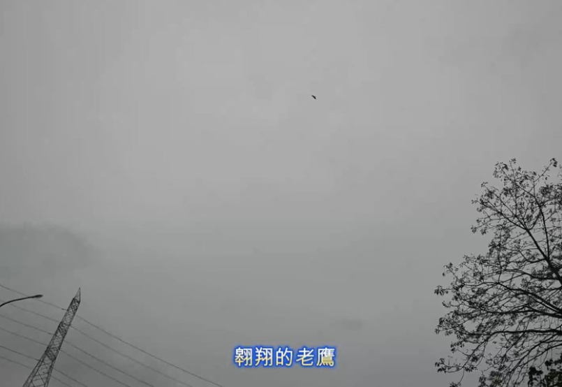 嘉義雙潭馬拉松，現煮思慕魚湯暖心暖胃