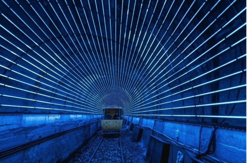 隧道光環境讓人置身夢幻場景。圖／新北市觀光旅遊局提供