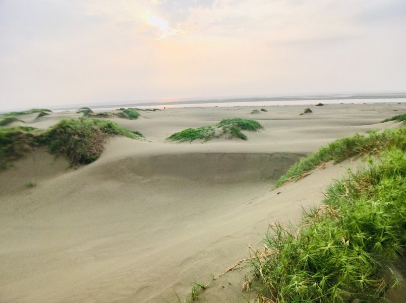 香山沙丘隱身於國家級重要濕地「香山濕地」中，政府為了保護濕地自然生態，禁止遊客進...