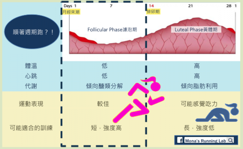 女性 順著週期跑 運動筆記