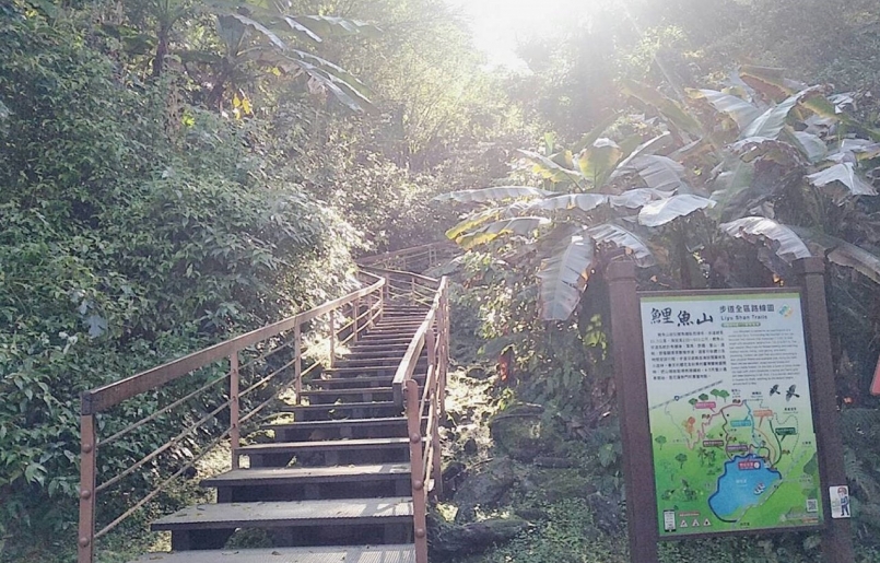 鯉魚山步道可享受森林浴、觀賞潭面景色，適合退休族、親子同遊。 圖／王思慧 攝影