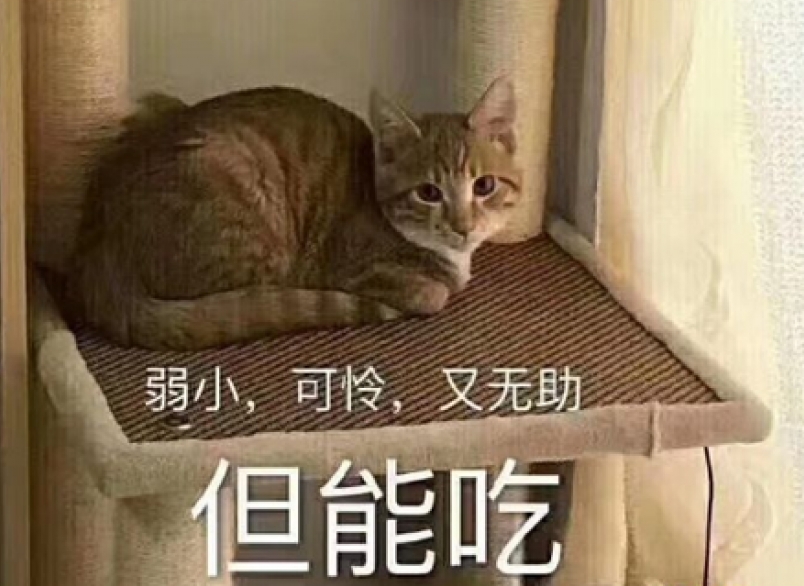 圖片來源/氾見志 圖片來源/氾見志