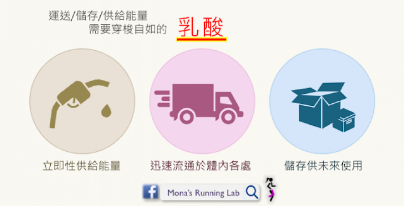 【跑步训练】「乳酸」「阈值」三部曲之一:乳酸是什麼?不是什麼?