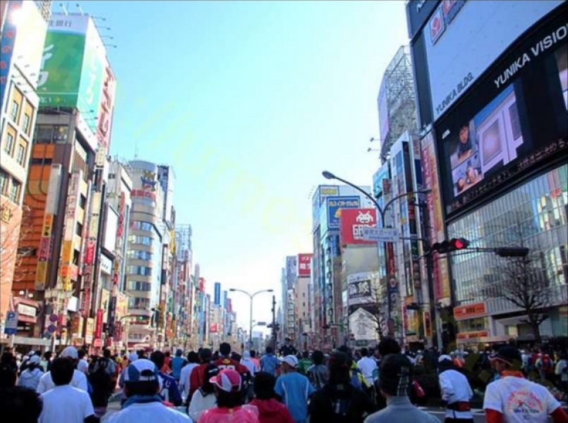 【賽事心得】馬場上的愛國禮儀 從東京馬看台灣跑者