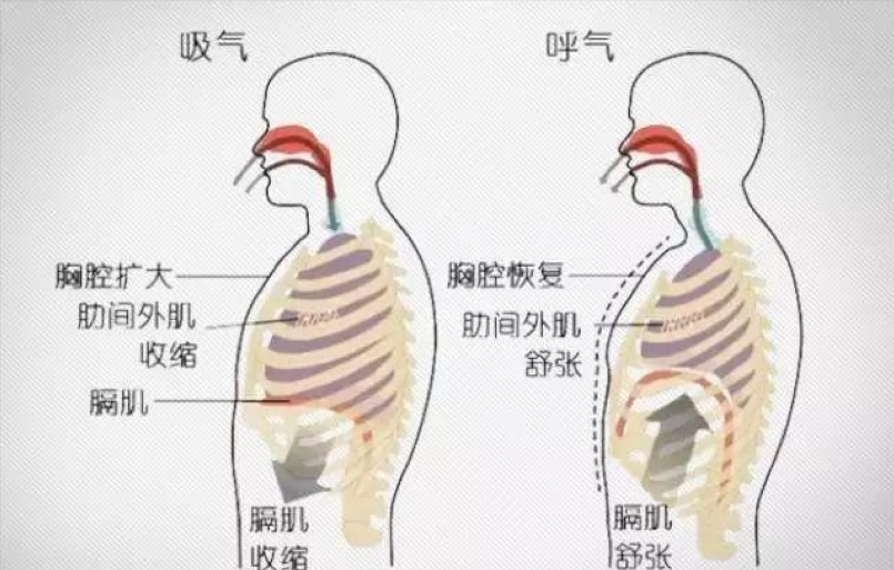 Water Rushali Xyz 标签外肋間肌最佳图片