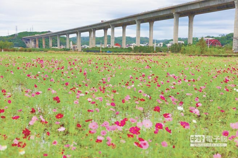 【賽事】西湖馬拉松 3日登場