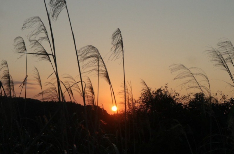 三角埔頂山的日落美景。圖／聯合報系資料照