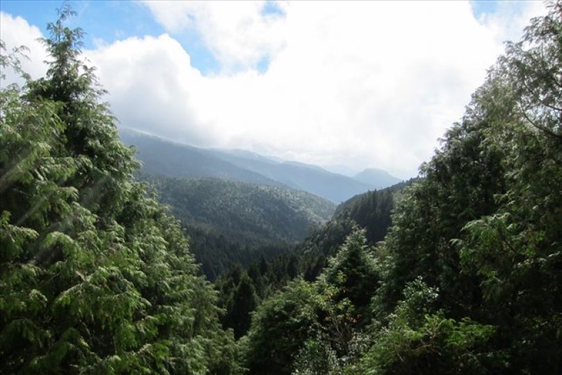 第39馬，仙境般的2013太平山全馬