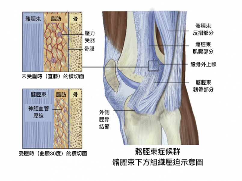 文章 運動筆記