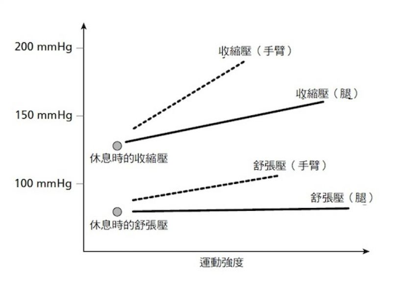 [書摘]《醫生，我可以運動嗎？》—高血壓的體力活動