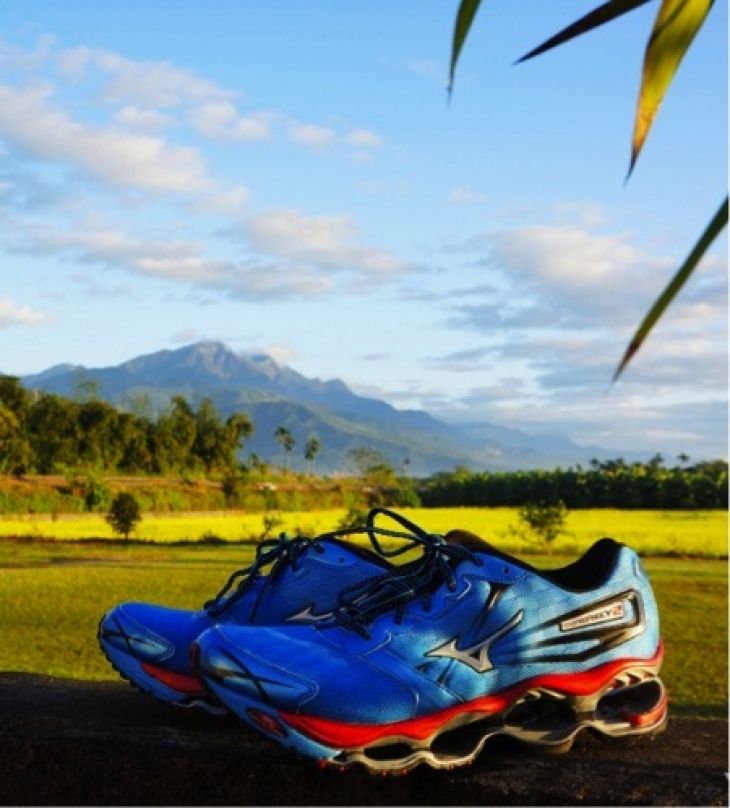 Mizuno wave prophecy 2 falso hotsell