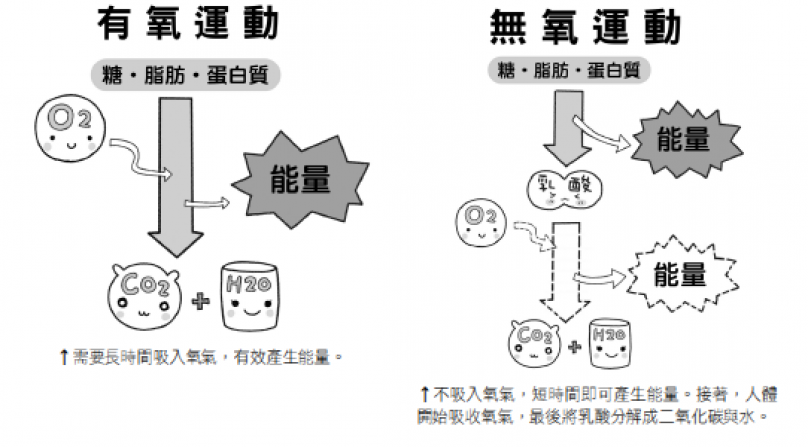 書摘 驚人的超慢跑瘦身法 燃脂最有效的有氧運動 文章 運動筆記