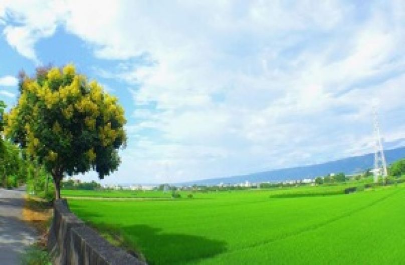 田中馬拉松 10月25日團練尋米趣