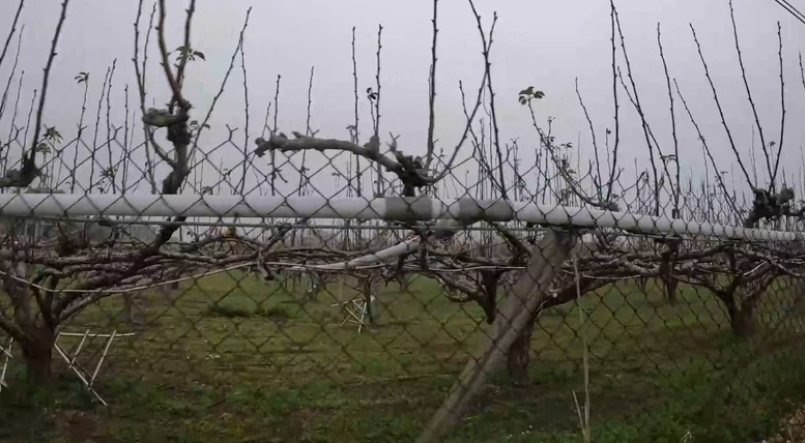 半馬當作全馬跑！？吃吃喝喝歡樂卓蘭馬！