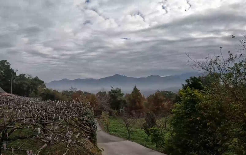 半馬當作全馬跑！？吃吃喝喝歡樂卓蘭馬！