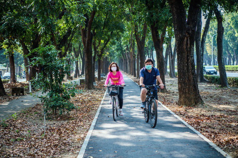 嘉義市世賢路自行車道，高聳參天桃花心木林道，就像從都市進入森林。圖／嘉義市政府提供