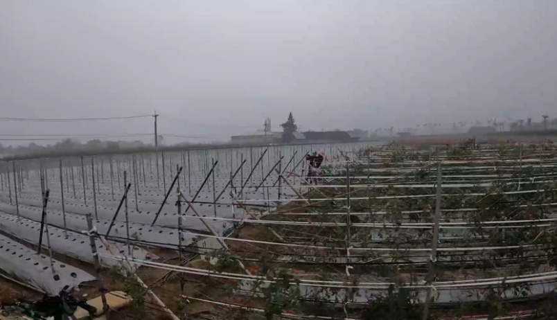 半馬當作全馬跑！？吃吃喝喝歡樂卓蘭馬！