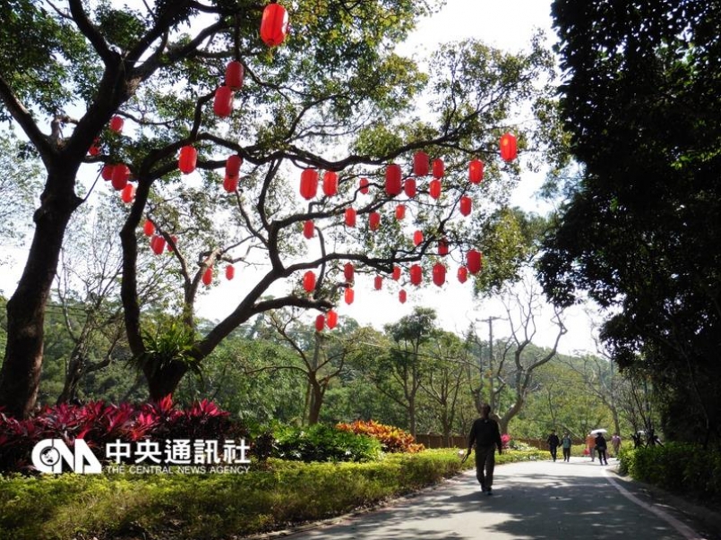 【知識】新竹十八尖山花開 慢跑享受芬多精