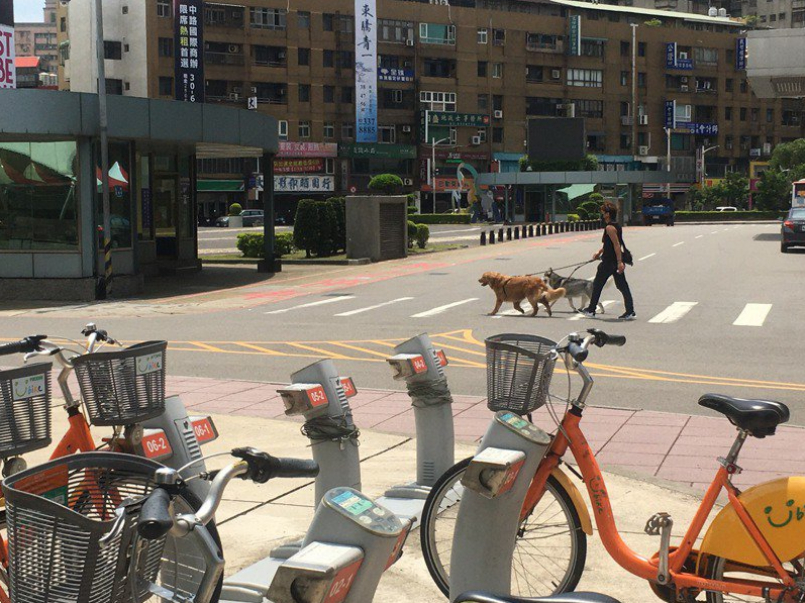 桃園市交通局表示，uBike營運是採會員制，加入會員都必須登記電話和悠遊卡、一卡通等電子票證卡號，租借時刷電子票證已起到實聯制作用。記者陳俊智／攝影