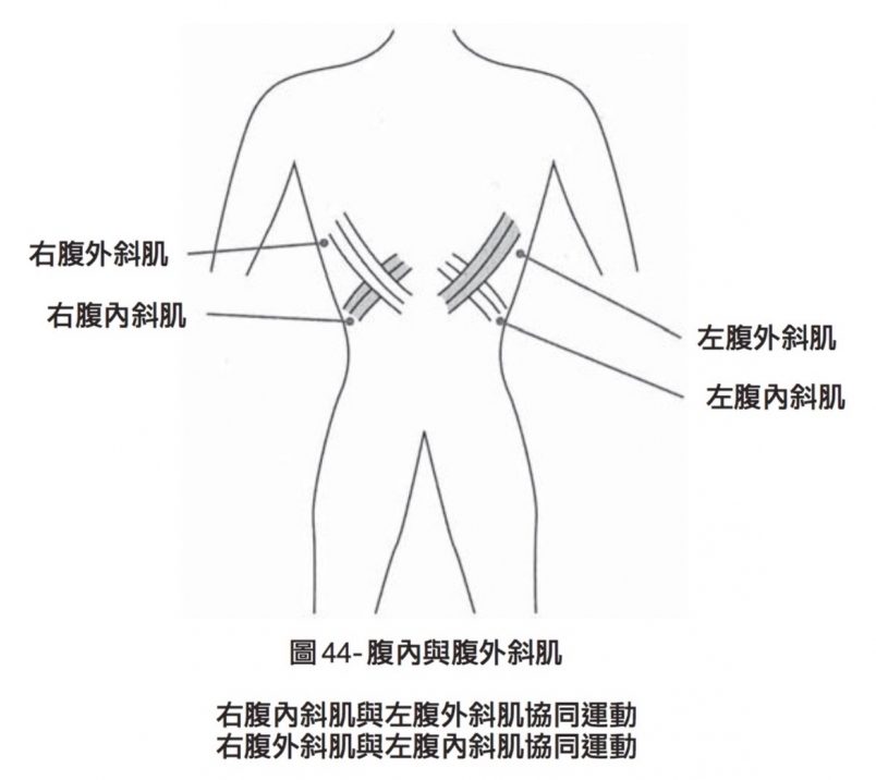 【書摘】氣功跑步技術（二）