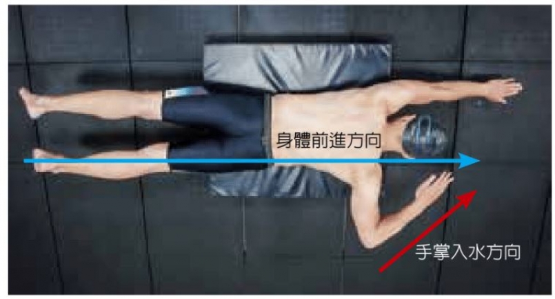 【書摘】《自由式的科學化訓練》使你游得更輕鬆有力的「轉肩技術