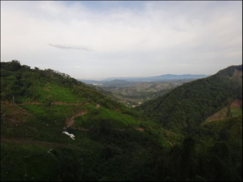 第三十馬回憶錄 16 大雪山林道馬拉松 網誌 運動筆記