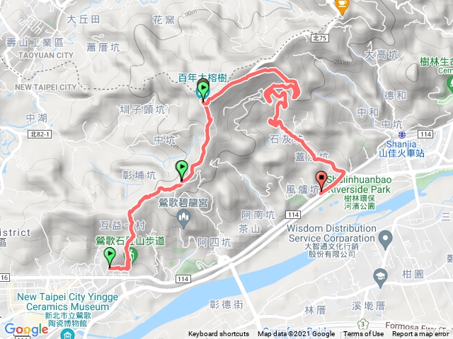 鶯歌石步道-百年大榕樹