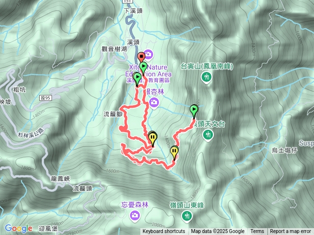 溪頭鳳凰林道3.1K