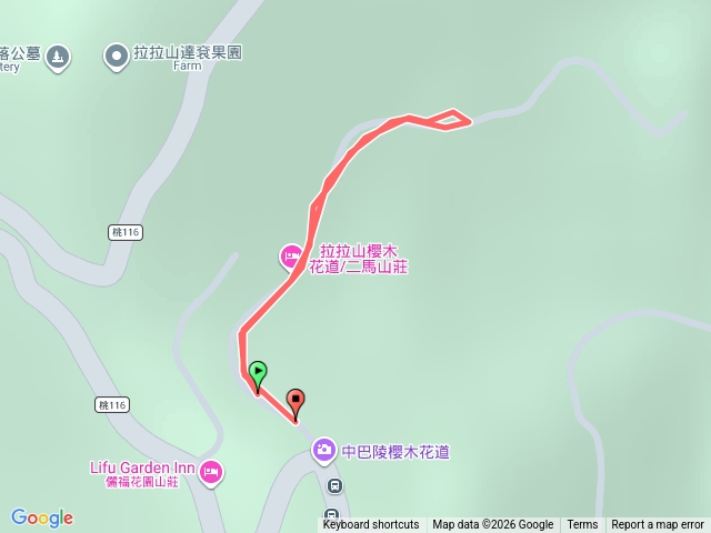 桃園 復興 中巴陵 櫻木花道